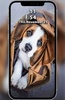 Dogs Wallpapers screenshot 3