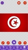 Tunisia Flag Wallpaper: Flags, screenshot 7