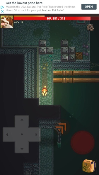 Doggo Dungeon: A Dog