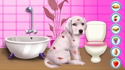 Labrador Puppy Day Care screenshot 4