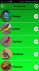 Bird Calls And Ringtones screenshot 3