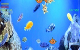 fish calm screenshot 3