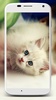 Cute Cats Wallpaper screenshot 5