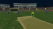 Pakistan T20 Cricket Games 3D screenshot 2