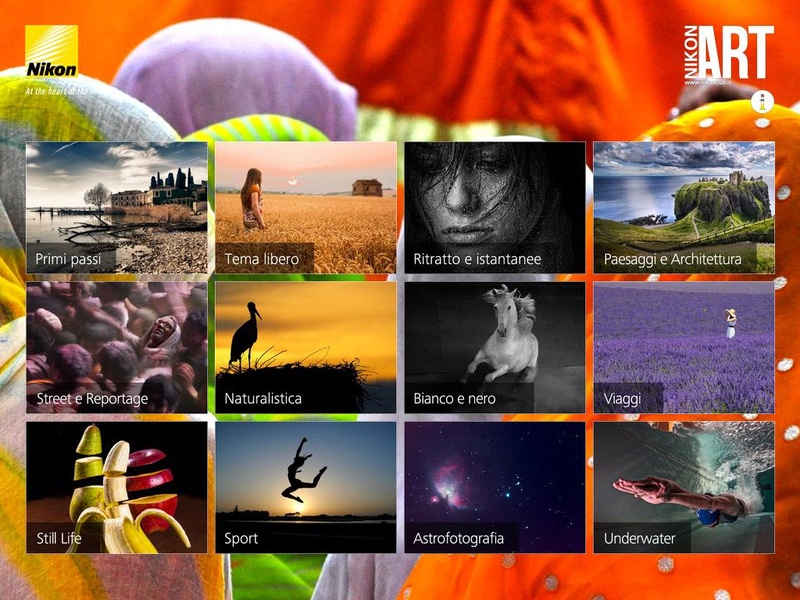 Nikon Art - Preview 6