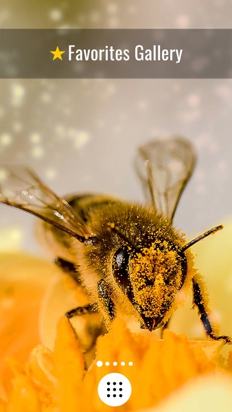 Macro Wallpapers - Preview 3