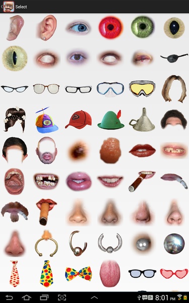 funky face changer-Image Crop - Preview 4