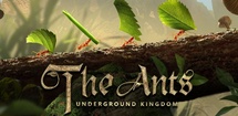 The Ants feature