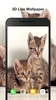 Cute Kittens Live Wallpaper screenshot 5