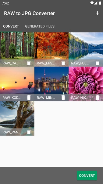 RAW to JPG Converter - Preview 5