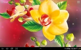 Orchids Live Wallpaper screenshot 4