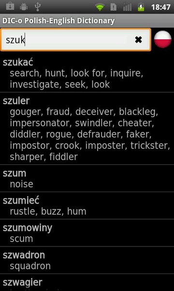 DIC-o Polish-English - Preview 1