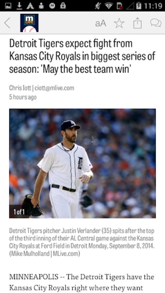 Tigers - Preview 2