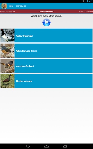 North American Birds Sounds - Preview 12