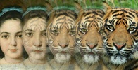 Zooface - GIF Animal Morph screenshot 7