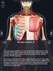 My Muscle Anatomy screenshot 5