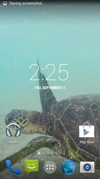 Sea Turtle HD. Wallpaper - Preview 6