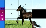 Juegos Niñas Puzzle Caballos screenshot 6