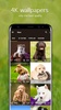 Puppy Wallpapers 4K screenshot 5