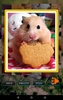 Hamster Puzzles screenshot 4