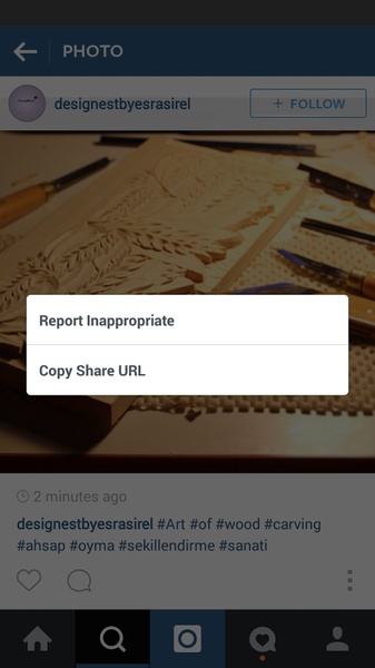 Easy Insta Download - Preview 4
