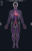 Circulatory System Anatomy screenshot 7