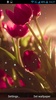 Tulips Live Wallpaper screenshot 5