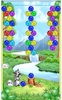 Racoon Bubbles screenshot 2