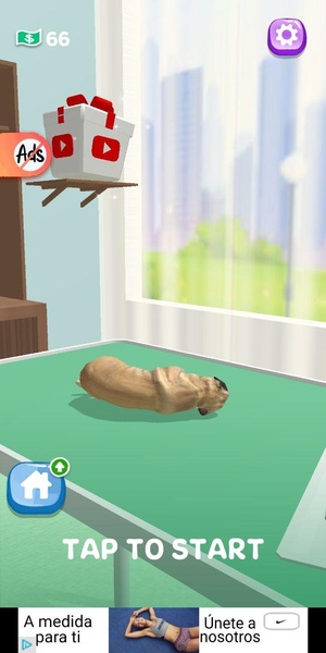 Paw Care - Preview 7