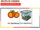 تعلم اللغة الألمانية Deutsch Lernen screenshot 6