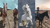 Horse Wallpapers screenshot 7