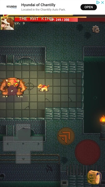 Doggo Dungeon: A Dog