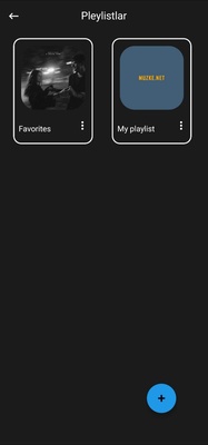 Musiqa screenshot 3