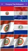 Paraguay Flag Wallpaper: Flags and Country Images screenshot 8