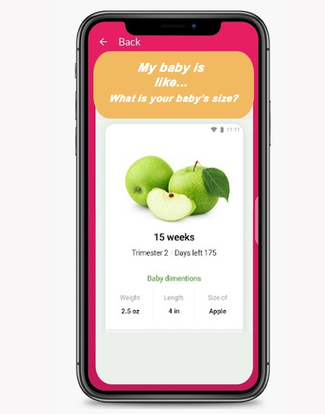 my pregnancy - Preview 3