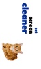 Cat Screen Cleaner screenshot 2