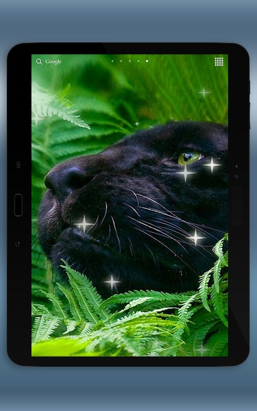 Black Panther Live Wallpaper - Preview 2