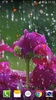 Rose Droplets Live Wallpaper screenshot 5
