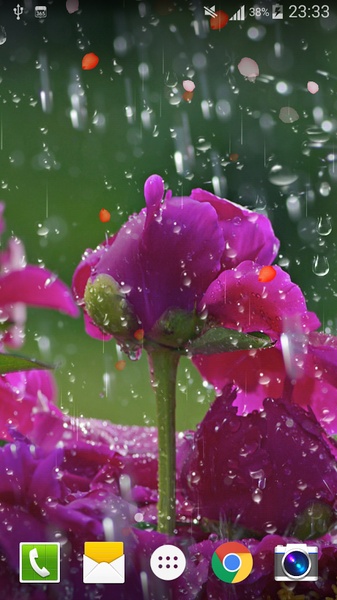 Rose Drops Live Wallpaper - Preview 5