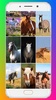 Horse Wallpaper HD screenshot 12