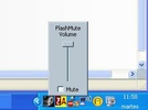 FlashMute screenshot 1