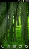 RealDepth Forest Free Live Wallpaper screenshot 6