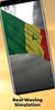 Senegal Flag screenshot 1