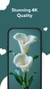 Flower Wallpapers 4K screenshot 3