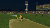 Pakistan T20 Cricket Games 3D screenshot 4