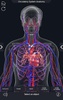 Circulatory System Anatomy screenshot 6