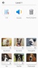 Dog Breeds - Quiz about all dogs of the world! screenshot 6