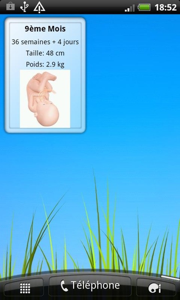 Pregnant - Preview 1