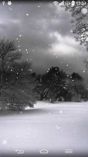 Winter Forest Live Wallpaper - Preview 4