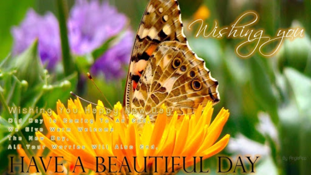Good Morning Image - Preview 4